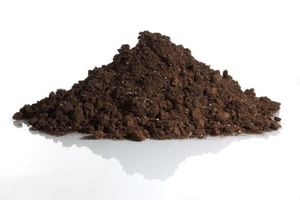 peat growing medium