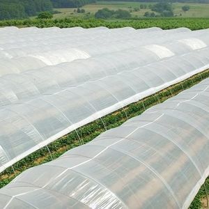 greenhouse film