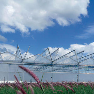 multi span greenhouse