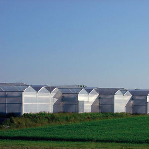 multi span greenhouse
