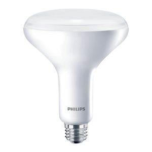 LED light bulb