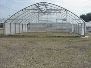 monotunnel greenhouse