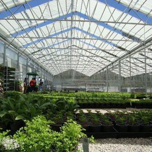 venlo greenhouse