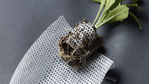 paper pot / round / biodegradable