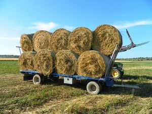 flatbed trailer