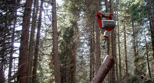 forestry hoist carriage