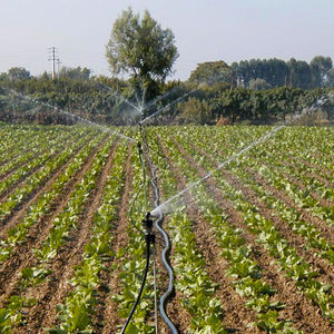 flow-regulated micro sprinkler