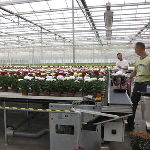 automatic horticulture handling system