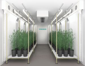 plant growth chamber 1