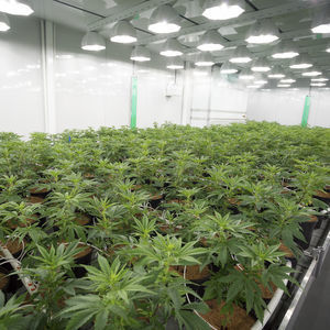 plant growth chamber 1