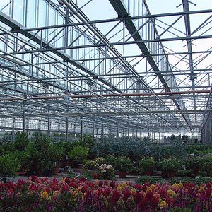 multi span greenhouse