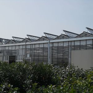 multi span greenhouse / commercial production / glass / PVC