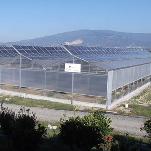 multi span greenhouse