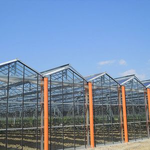 multi span greenhouse 1