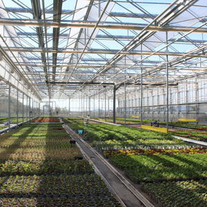 open-roof greenhouse