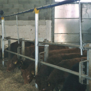 cow feeding equipement