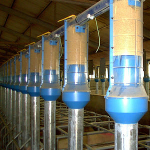 pig feeding equipement