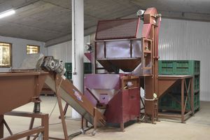 walnut shelling machine