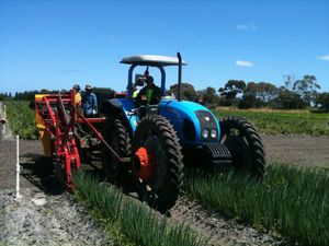 onion loader