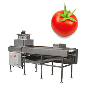 tomato washing unit