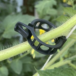 plastic plant support clip