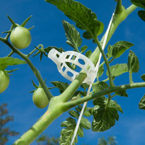 plastic plant support clip