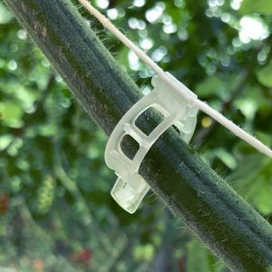 plastic plant support clip