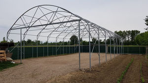 multi-tunnel greenhouse 1