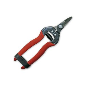 citrus harvesting shears