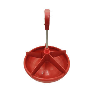 pig bowl