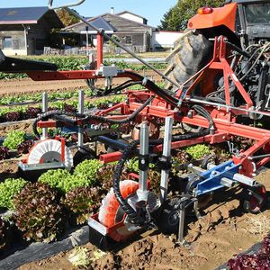 tractor-mounted row crop cultivator