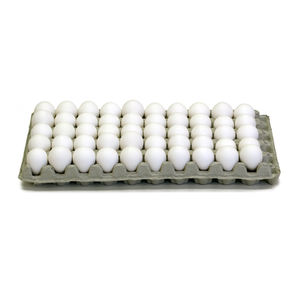 packing setter tray