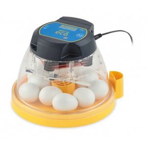 automatic turning egg incubator