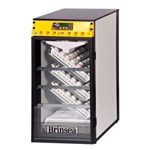 automatic turning egg incubator
