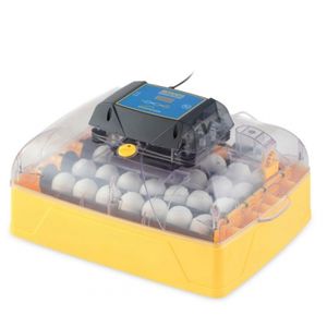 automatic turning egg incubator