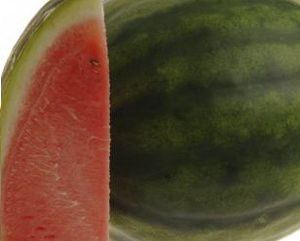 fusarium resistant watermelon seeds