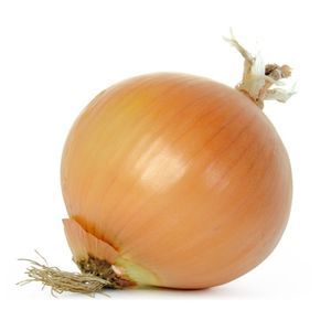 Hybrid onion seed - Hi Keeper - thompson-morgan - yellow