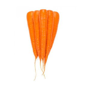 late carrot seeds