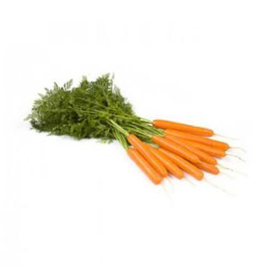 medium carrot seeds