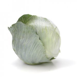 hybrid cabbage seeds