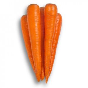 summer carrot seeds