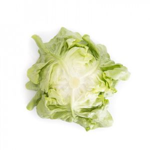 spring lettuce seeds