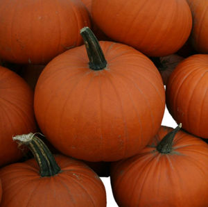 early pumpkin seeds