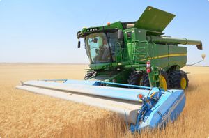 wheat harvesting header