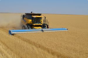 grain harvesting header / rigid / auger