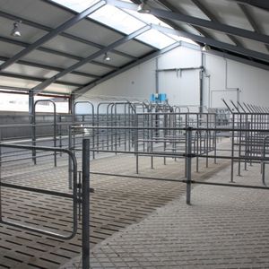 livestock gate / stable / corral / for cows