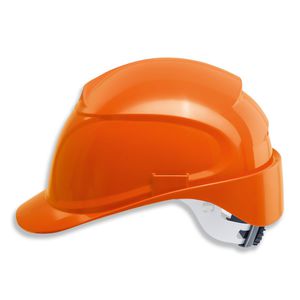 forestry helmet / protective