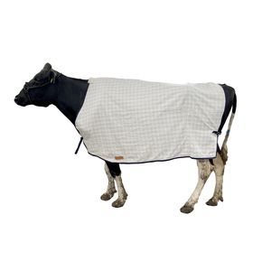 calf blanket
