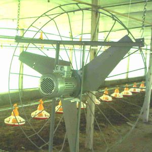 aviary ventilation system