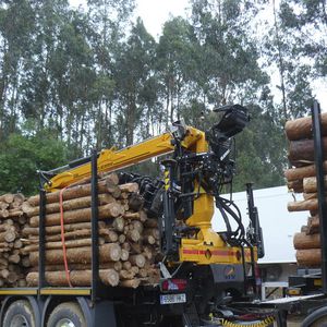 truck-mounted forestry crane